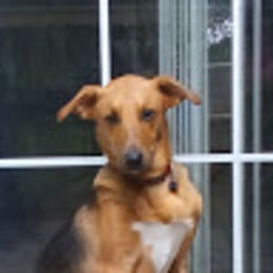 Meet your Posher, Ak